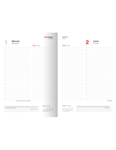 AGENDA 2025 TOKIO DIA/PAGINA 17X24 NEGRO...