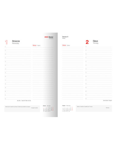 AGENDA 2025 TOKIO DIA/PAGINA 17X24 NEGRO...