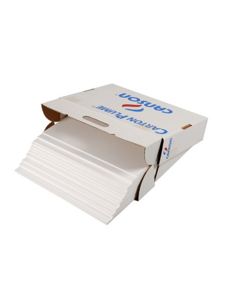 HOJA CARTON PLUMA A3 3MM BLANCO GUARRO CANSON C205154222