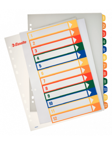 INDICES DE PROYECTOS POLIPROPILENO 1-12 POSICIONES IMPRIMIBLES FORMATO A4 MAXI ESSELTE 100214