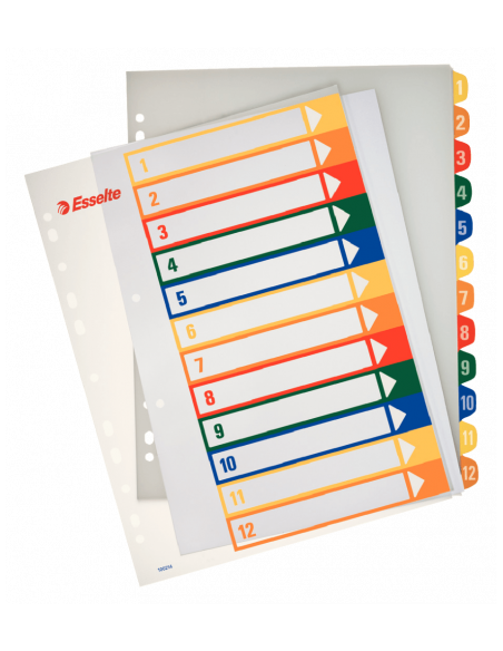 INDICES DE PROYECTOS POLIPROPILENO 1-12 POSICIONES IMPRIMIBLES FORMATO A4 MAXI ESSELTE 100214