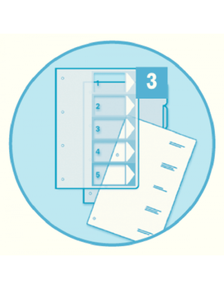 INDICES DE PROYECTOS POLIPROPILENO 1-12 POSICIONES IMPRIMIBLES FORMATO A4 MAXI ESSELTE 100214