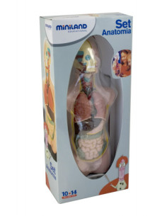 JUEGO ANATOMIA HUMANA 11 PIEZAS 50 CM MINILAND 99020