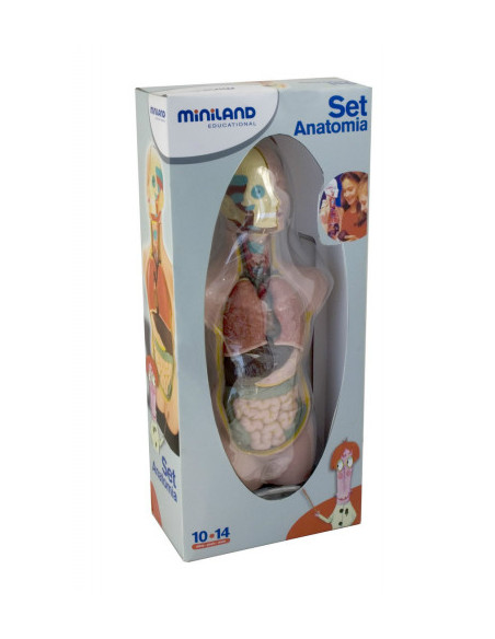 JUEGO ANATOMIA HUMANA 11 PIEZAS 50 CM MINILAND 99020