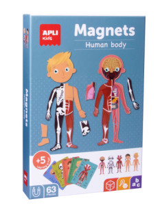 CAJA MAGNÉTICA EL CUERPO HUMANO APLI 18531
