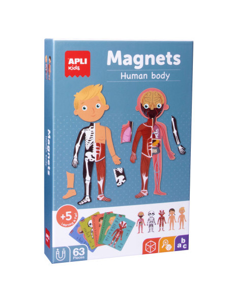 CAJA MAGNÉTICA EL CUERPO HUMANO APLI 18531