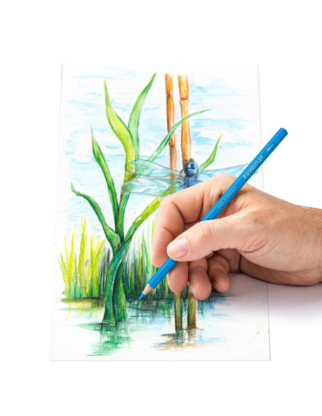 LÁPICES DE COLORES ACUARELABLES 146 10C, 48 PZAS STAEDTLER 14610C C48