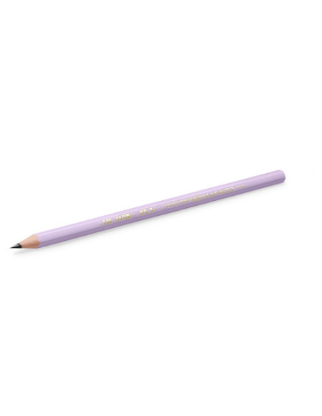 LAPIZ GRAFITO HB PASTEL BIC 518307