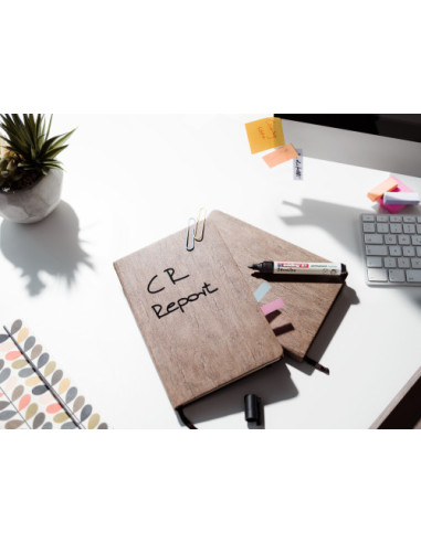 MARCADOR PERMANENTE EDDING ECOLINE 21 COLOR...