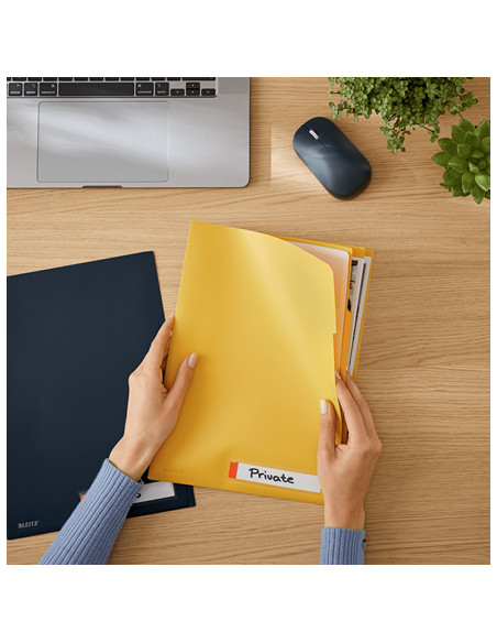 P-3 DOSSIER PRIV. C/SEP. COSY AMARILLO LEITZ 47160019