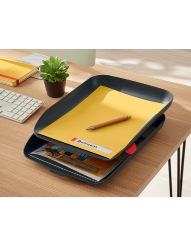 P-3 DOSSIER PRIVACIDAD COSY AMARILLO LEITZ...