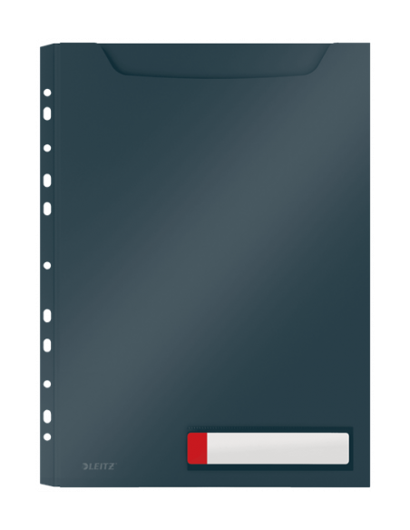 P-3 FUNDA PRIV. COSY GRAN CAPACIDAD GRIS LEITZ 46680089 P-3 FUNDA PRIV. COSY GRAN CAPACIDAD GRIS LEITZ 46680089