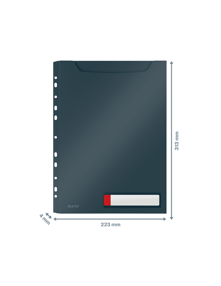 P-3 FUNDA PRIV. COSY GRAN CAPACIDAD GRIS LEITZ 46680089