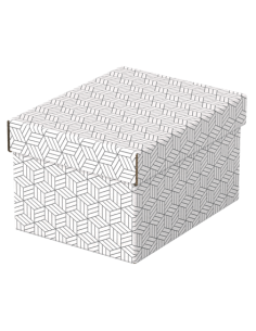 PACK 3 CAJAS BLANCAS 255X200X150MM ESSELTE 628280