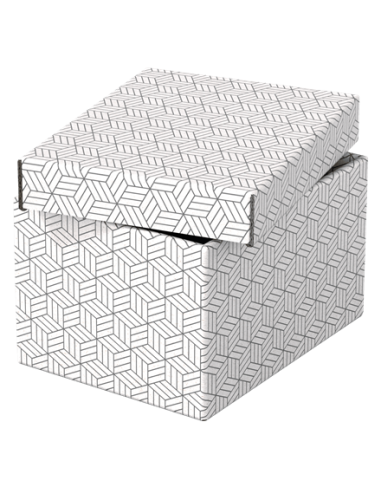 PACK 3 CAJAS BLANCAS 255X200X150MM ESSELTE 628280