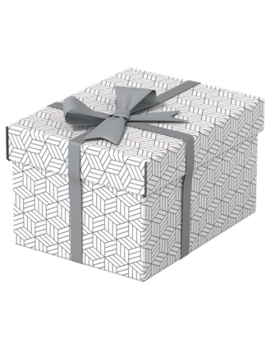 PACK 3 CAJAS BLANCAS 255X200X150MM ESSELTE 628280