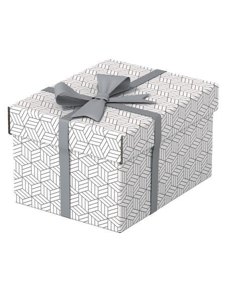 PACK 3 CAJAS BLANCAS 255X200X150MM ESSELTE 628280