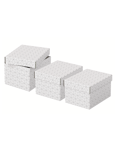 PACK 3 CAJAS BLANCAS 255X200X150MM ESSELTE 628280