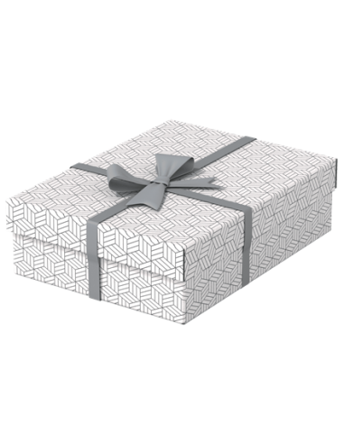 PACK 3 CAJAS BLANCAS 360X265X100MM ESSELTE 628284