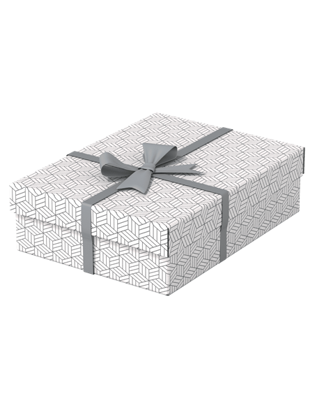PACK 3 CAJAS BLANCAS 360X265X100MM ESSELTE 628284