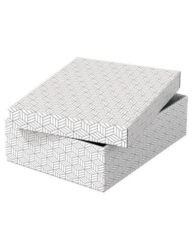 PACK 3 CAJAS BLANCAS 360X265X100MM ESSELTE 628284
