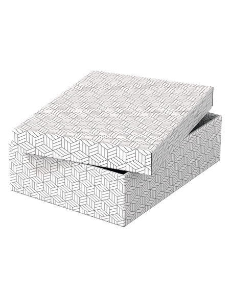 PACK 3 CAJAS BLANCAS 360X265X100MM ESSELTE 628284