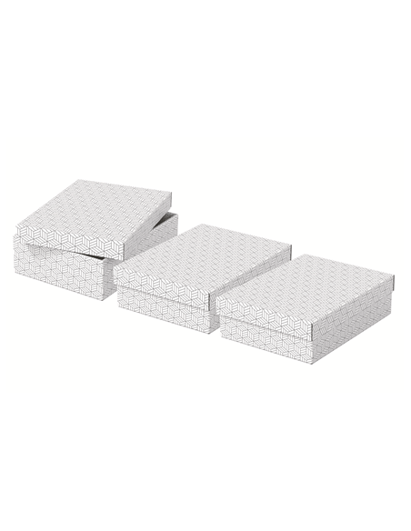 PACK 3 CAJAS BLANCAS 360X265X100MM ESSELTE 628284