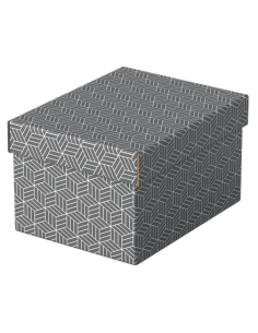 PACK 3 CAJAS GRISES 255X200X150MM ESSELTE 628281