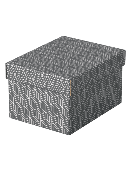 PACK 3 CAJAS GRISES 255X200X150MM ESSELTE 628281 PACK 3 CAJAS GRISES 255X200X150MM ESSELTE 628281