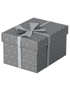 PACK 3 CAJAS GRISES 255X200X150MM ESSELTE 628281 2