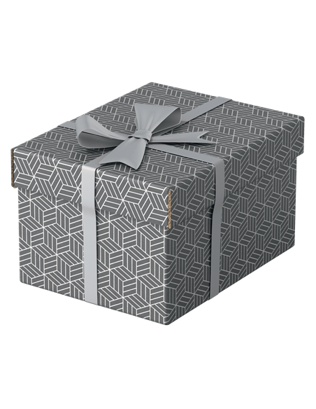 PACK 3 CAJAS GRISES 255X200X150MM ESSELTE 628281