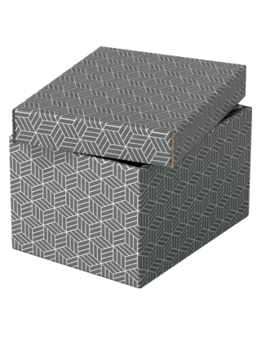 PACK 3 CAJAS GRISES 255X200X150MM ESSELTE 628281