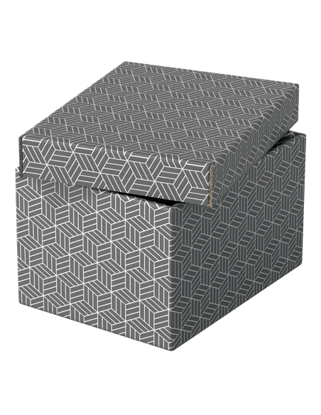 PACK 3 CAJAS GRISES 255X200X150MM ESSELTE 628281