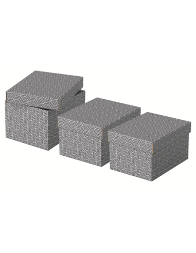 PACK 3 CAJAS GRISES 255X200X150MM ESSELTE 628281