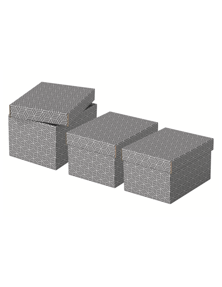 PACK 3 CAJAS GRISES 255X200X150MM ESSELTE 628281