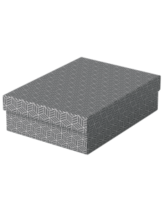 PACK 3 CAJAS GRISES 360X265X100MM ESSELTE 628285