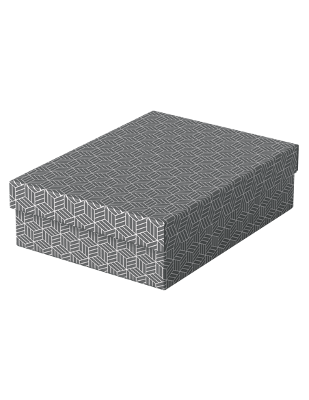 PACK 3 CAJAS GRISES 360X265X100MM ESSELTE 628285 PACK 3 CAJAS GRISES 360X265X100MM ESSELTE 628285