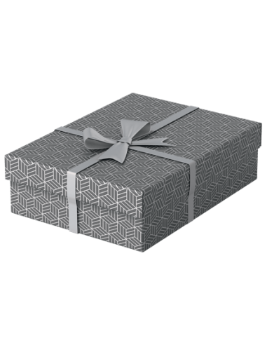 PACK 3 CAJAS GRISES 360X265X100MM ESSELTE 628285
