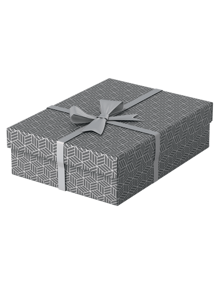 PACK 3 CAJAS GRISES 360X265X100MM ESSELTE 628285