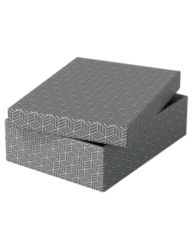 PACK 3 CAJAS GRISES 360X265X100MM ESSELTE 628285