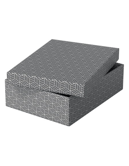 PACK 3 CAJAS GRISES 360X265X100MM ESSELTE 628285