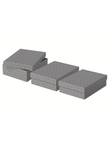 PACK 3 CAJAS GRISES 360X265X100MM ESSELTE 628285
