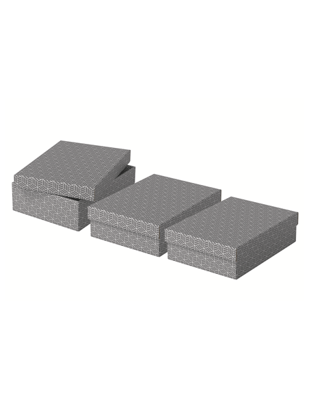 PACK 3 CAJAS GRISES 360X265X100MM ESSELTE 628285