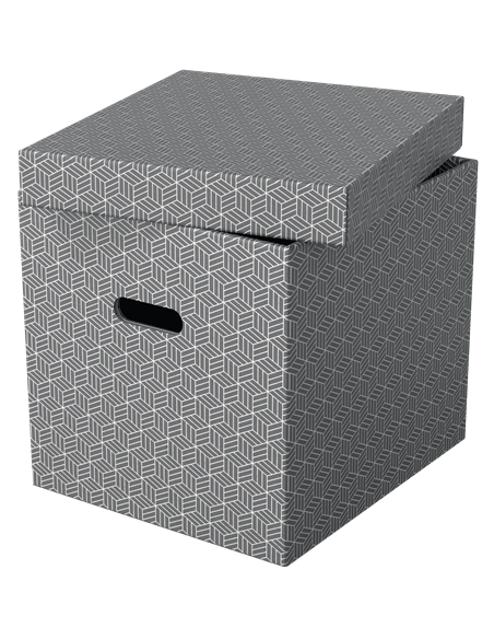 PACK 3 CAJAS GRISES 365X320X315MM ESSELTE 628289