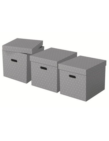 PACK 3 CAJAS GRISES 365X320X315MM ESSELTE 628289
