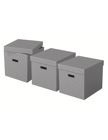 PACK 3 CAJAS GRISES 365X320X315MM ESSELTE 628289
