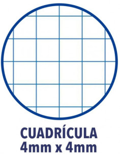 PACK 4+1 CUADERNO ESPIRAL TAPA BLANDA FOLIO 80 HOJAS 4X4 CON MARGEN COLORES TENDENCIA OXFORD 400072719 2