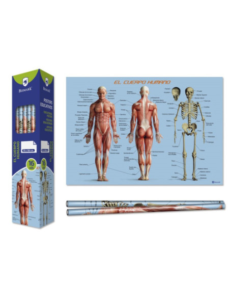 POSTER CUERPO HUMANO 70X100 CM BISMARK 328695