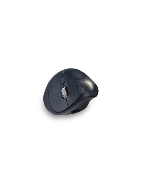 RATON INALAMBRICO TRACKBALL RECARGABLE  TB550 PROFIT ERGO NEGRO-PLATA KENSINGTON K72196WW