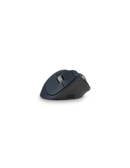 RATON INALAMBRICO TRACKBALL RECARGABLE  TB550 PROFIT ERGO NEGRO-PLATA KENSINGTON K72196WW